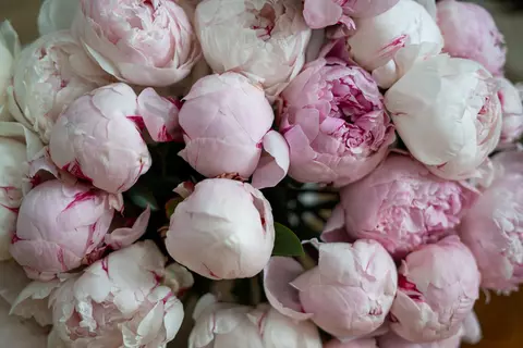 Idei de combinații florale delicate pentru evenimente speciale – Maison Dadoo