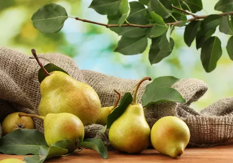 Ce alimente sa introduci in regimul alimentar, toamna!