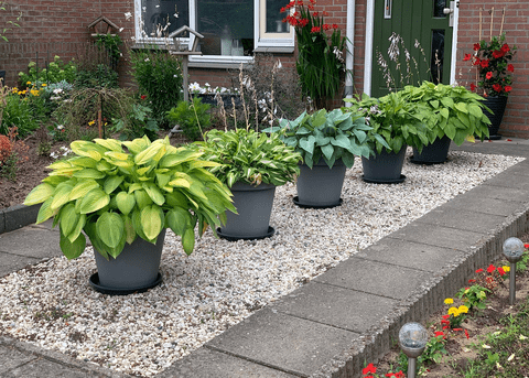 Cum să transformi aleea de grădină într-un spațiu atractiv? 10 sugestii practice