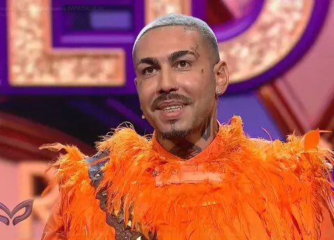 Alex Velea, demascare la Masked Singer. Pavel Bartoș: „A zburat și papagalul...”
