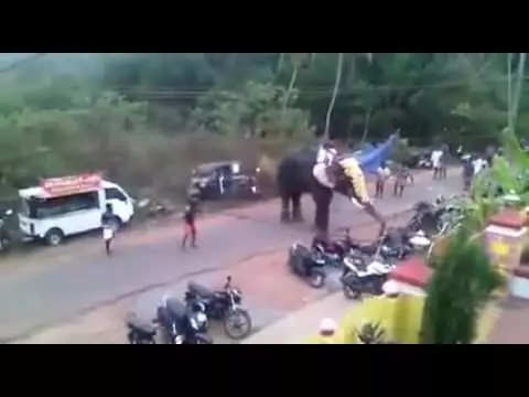 ANGRY-ELEPHANT-DESTROY-ALL