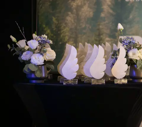 Gala BrandRO 2026. Care sunt cele mai puternice branduri românești