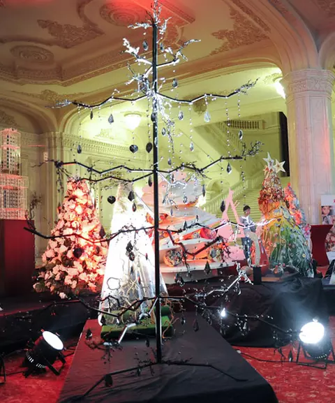 Festivalul Brazilor de Craciun a strans 275.000. euro