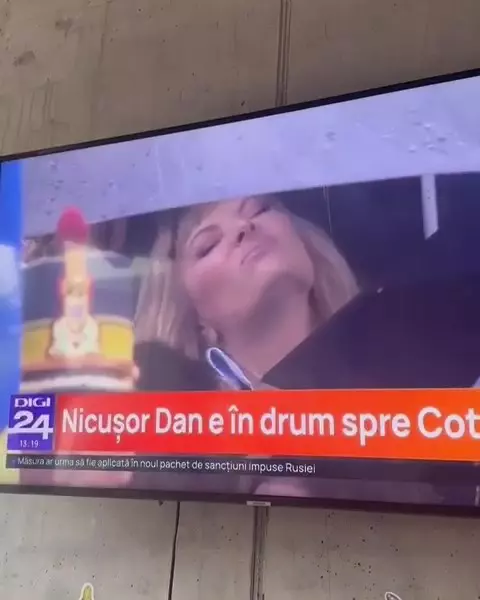Delia la învestirea lui Nicușor Dan (1)