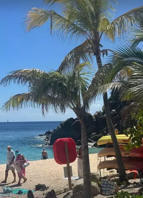 lidia buble postare3