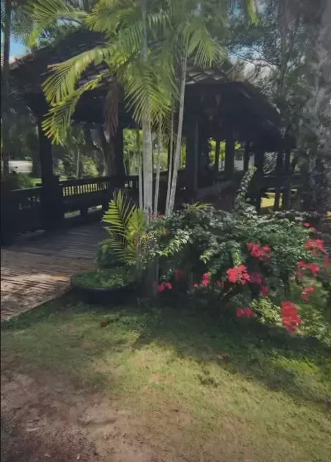 speak ristei in thailanda4