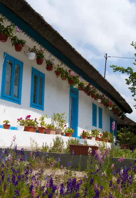 Locuri cu Fainoşag pe litoralul românesc