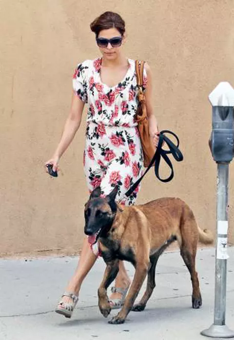 Vedetele apeleaza la terapia cu animale