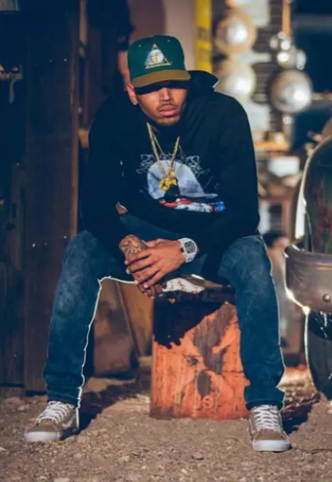Chris Brown se luptă pentru custodia fiicei sale