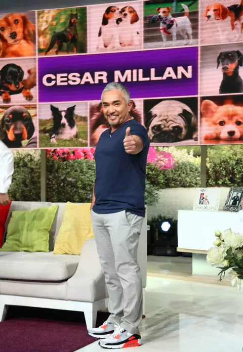 Cesar Milan a venit pentru prima dată în România. Iată ce a spus celebrul antrenor și psiholog canin despre câini și fericire!