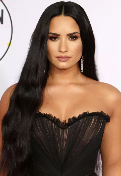 Get the look Demi Lovato - machiaj în tonuri de maro
