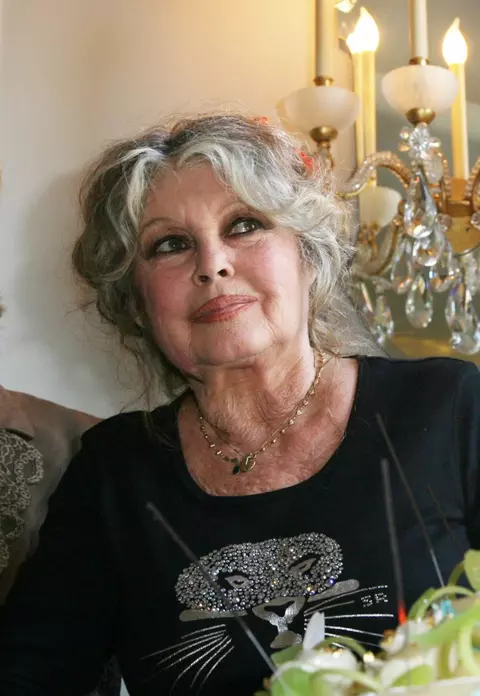 Brigitte Bardot critică campania #MeToo: „Multe dintre femeile care fac acuzaţii sunt ipocrite şi ridicole“