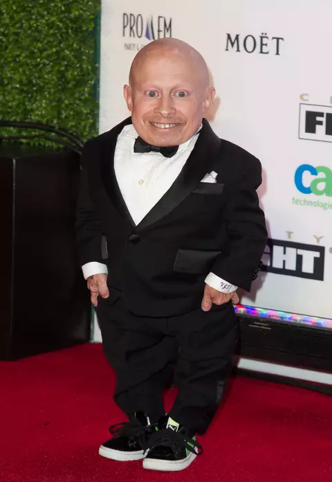 Actorul Verne Troyer, celebru pentru rolul din seria ”Austin Powers”, a murit la 49 de ani