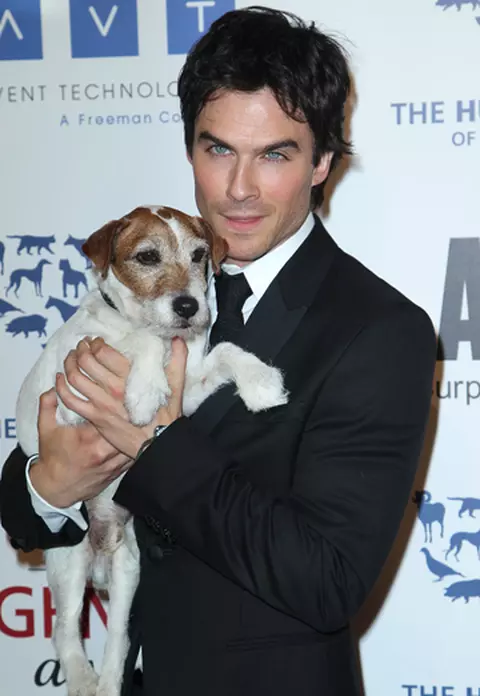 Vedete iubitoare de animale la gala "Genesis Awards": Ian Somerhalder, Sophia Bush, Kesha