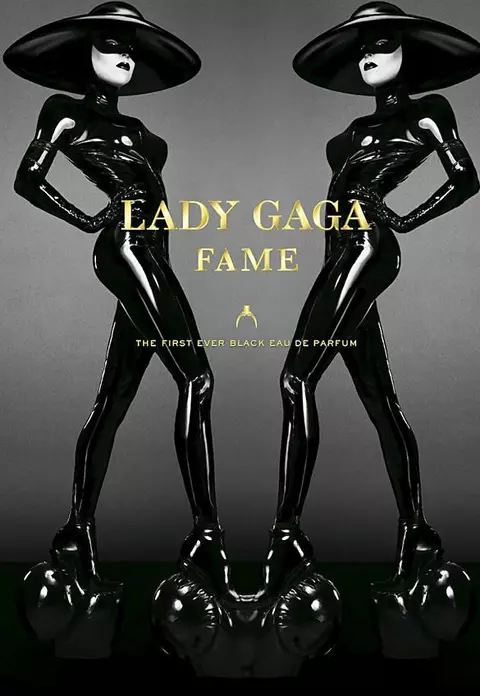 Lady Gaga provoaca din nou