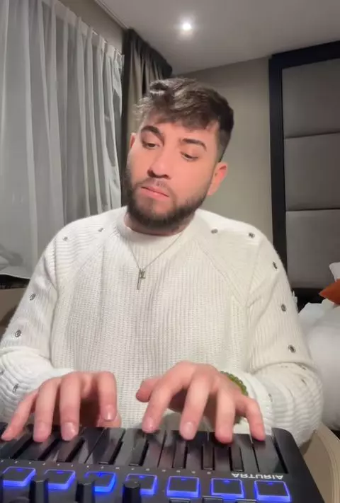 fulgy muzica