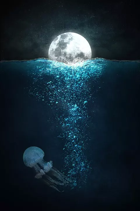 luna plina5