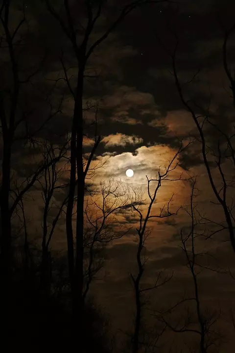 luna plina7