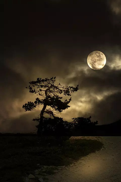 Luna Plina8