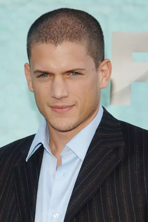 Wentworth Miller, vedeta serialului Prison Break, a dezvaluit ca este gay