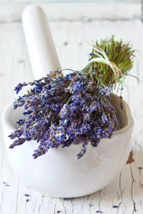 7 plante cu beneficii pentru ten