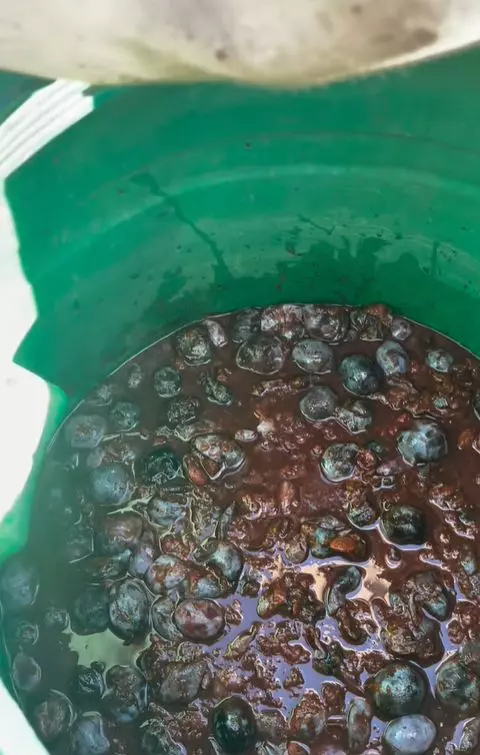 dragos bucur palinca