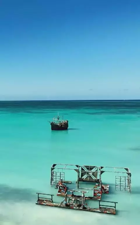 survivor imagini4