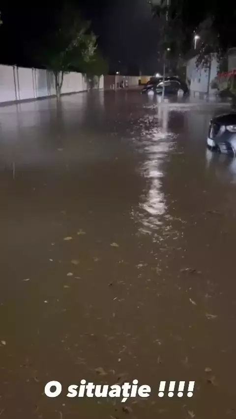 casa-anca-serea-si-adi-sina-inundata-2