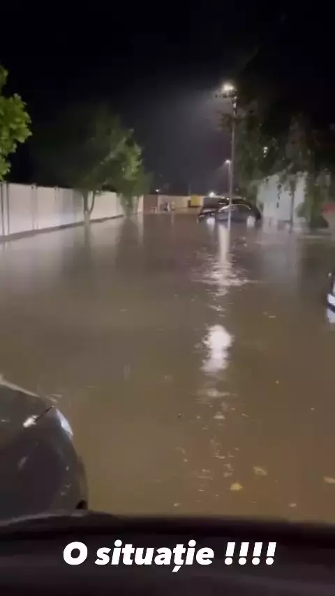 casa-anca-serea-si-adi-sina-inundata-4