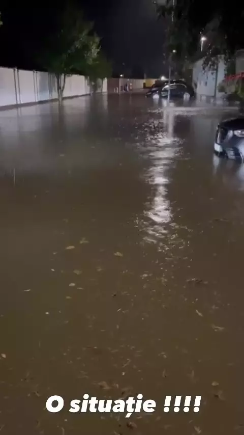Casa Anca Serea și Adi Sînă inundată