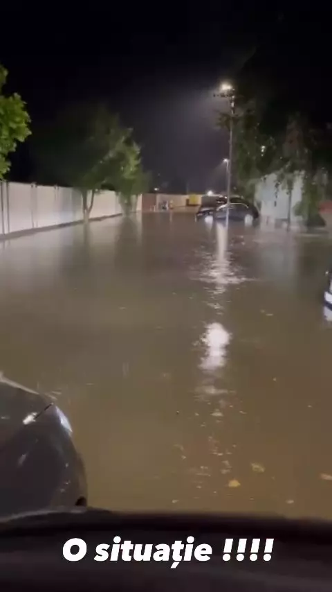Casa Anca Serea și Adi Sînă inundată