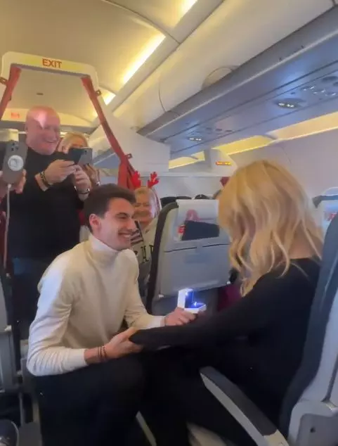 inel logodna andreea