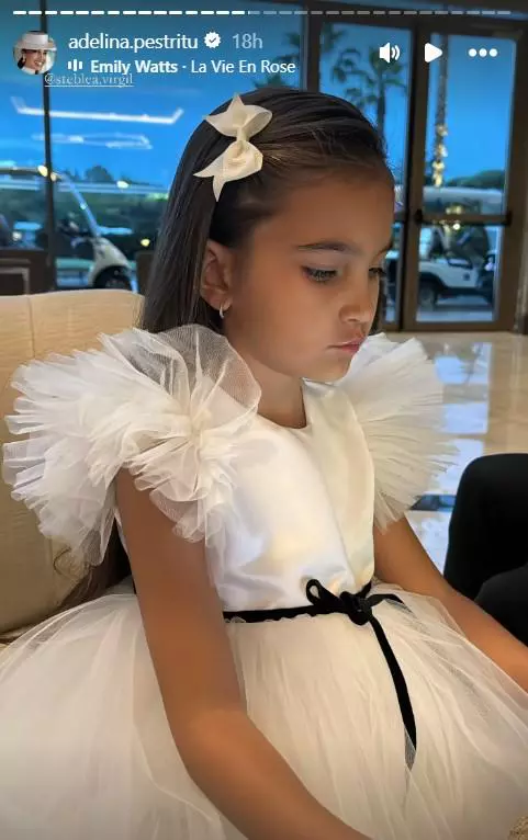 zenaida