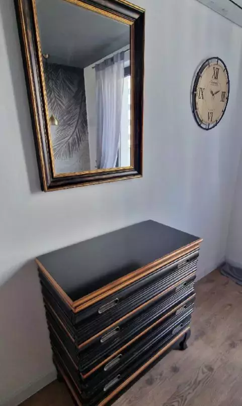 Cum arată apartamentul în care locuiește Anca Țurcașiu  (1)