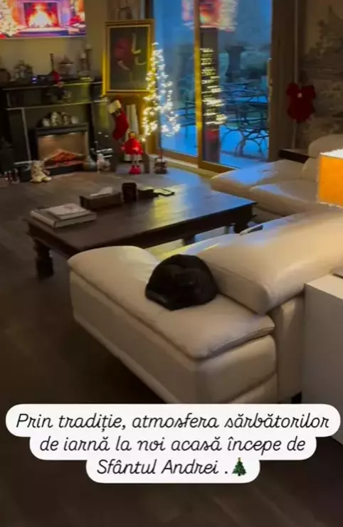 Andreea Marin, casa decorata de Cracin (13)