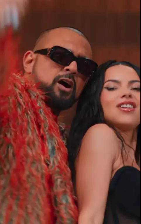 inna cu sean paul