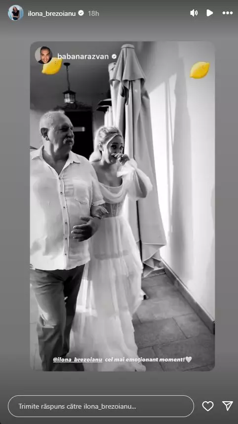 Imagini de la nunta actriței Ilona Brezoianu  (6)