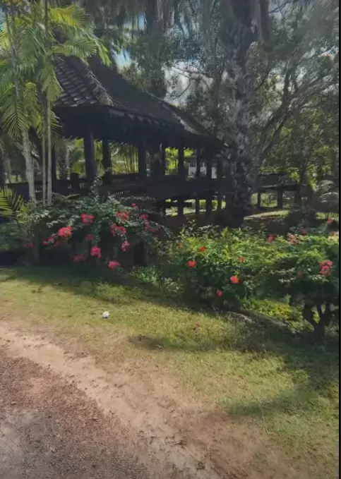 speak ristei in thailanda5