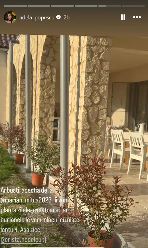 adela-popescu-radu-valcan-casa-susani (2)