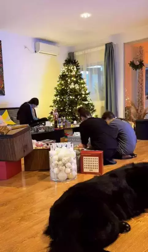 casa-irina-razvan-fodor-4