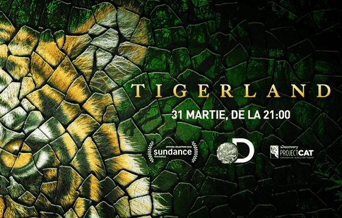 Discovery România sărbătorește pe 30 martie Ora Pământului și premiera noului documentar „Tigerland”
