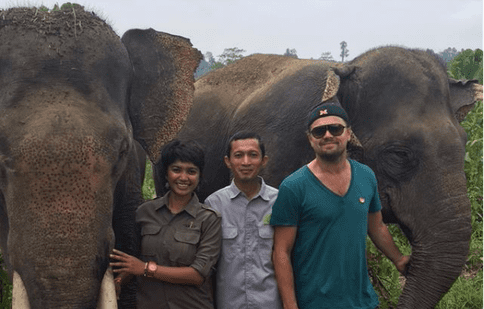 Indonezia e deranjată de declarațiile lui Leonardo DiCaprio