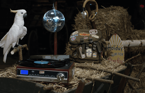 De sâmbătă, 23 iunie, Boomerang lansează un nou serial de comedie, „Cei cinci prieteni fermieri”