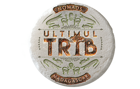 Ce ar lua cu ele pe o insulă pustie vedetele din „Ultimul Trib”