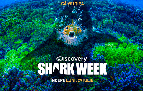 Din 29 iulie Discovery difuzează ediții noi ale emisiunii „Shark week”