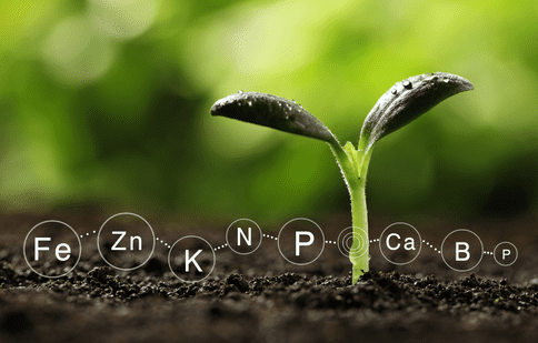 Tot ce trebuie să știi despre fertilizarea de toamnă a solului