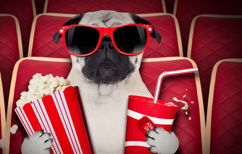 Câinii în filmele clasice și moderne - mai mult decât cei mai buni prieteni ai noștri