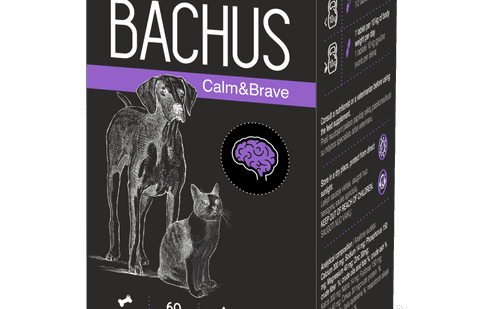 Cauți să achiziționezi un medicament veterinar? Când și cum să îl administrezi?