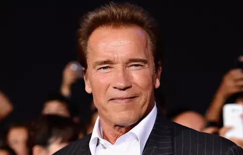 Arnold Schwarzenegger a fost reținut într-un aeroport din Munchen. Ce au descoperit polițiștii în valiza actorului