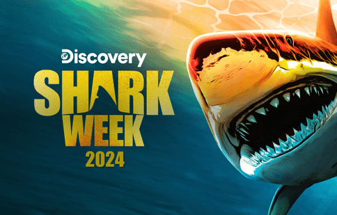 Shark Week 2024 începe la Discovery. Cel rol are John Cena și documentarele în premieră